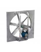 Wall Mounted Fans