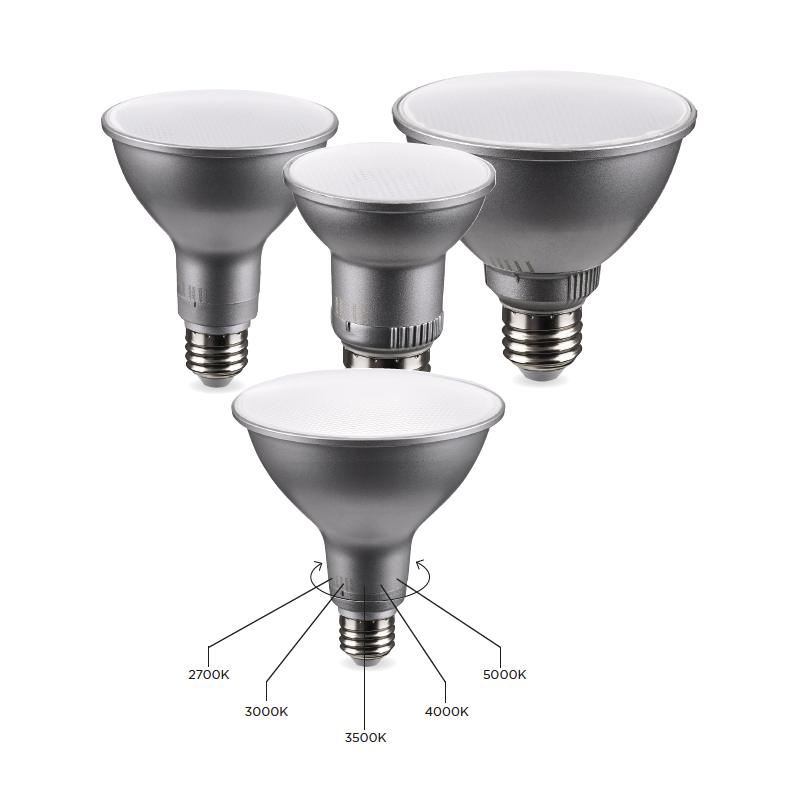 Satco shop led par38