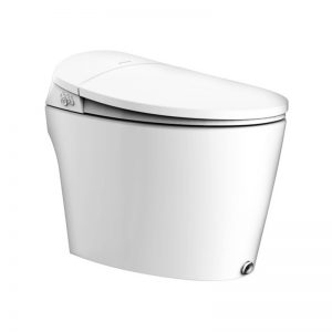 AIDA 240006 Tankless Intelligent Toilet